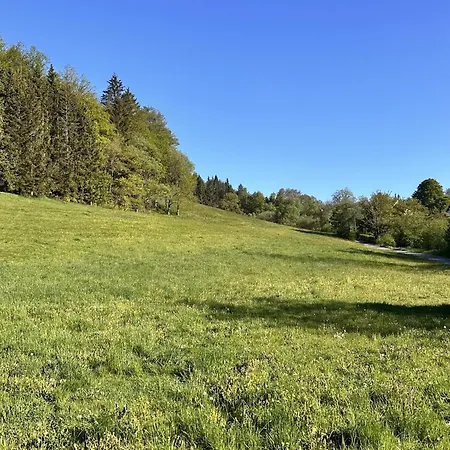 Smart 1 Bb1 052 Winterberg