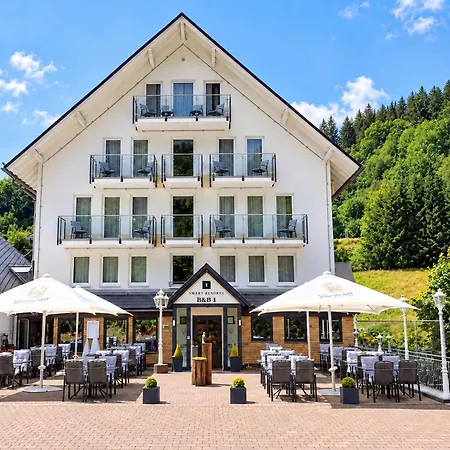 Smart 1 Bb1 052 * Winterberg